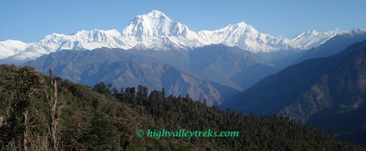 Dhaulagiri Circuit Trek via French Pass 